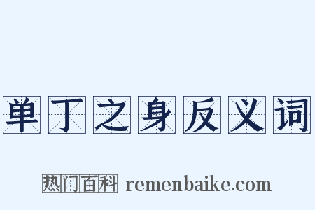 单丁之身反义词是什么意思的图片